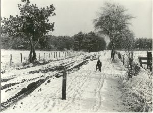 Vledder, Reeweg